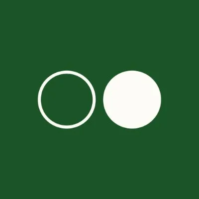 Reflection AI